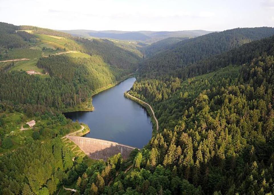 Апартаменти Le Repos Du Pilat Proche A 10 Min Saint Etienne Екстер'єр фото